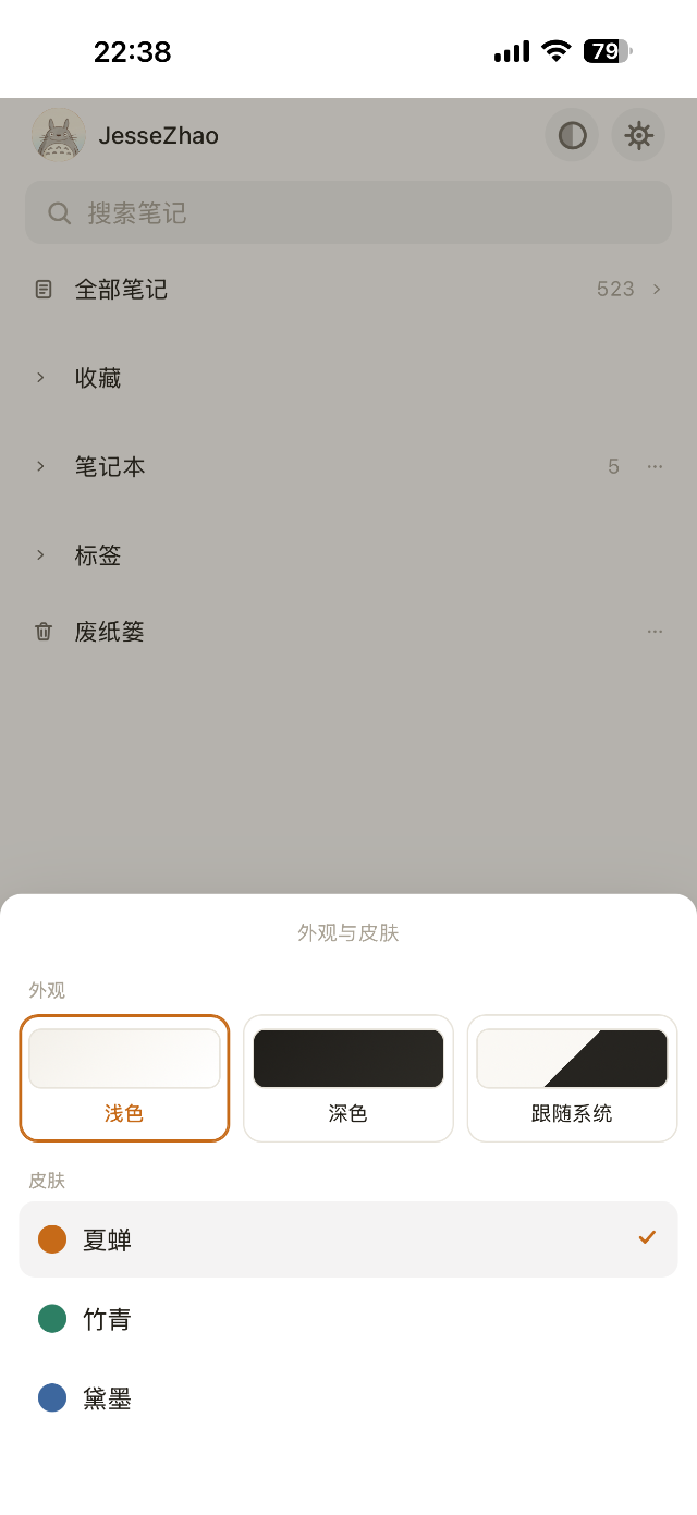 知了笔记 iPhone 首页与皮肤切换